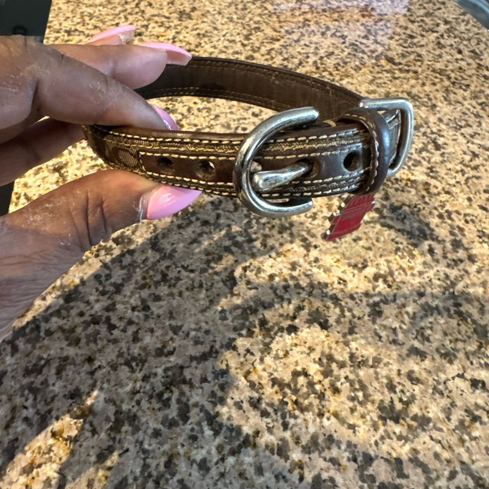 Coach Brown Leather collar for a 10-15lb dog 50$ OBO